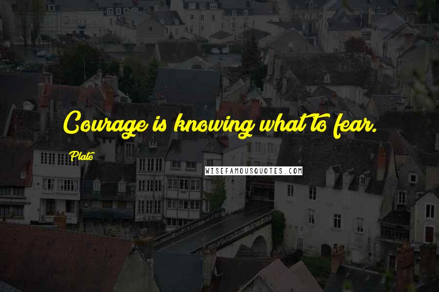 Plato Quotes: Courage is knowing what to fear.