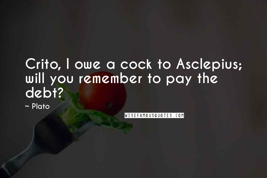 Plato Quotes: Crito, I owe a cock to Asclepius; will you remember to pay the debt?