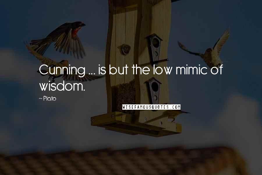 Plato Quotes: Cunning ... is but the low mimic of wisdom.