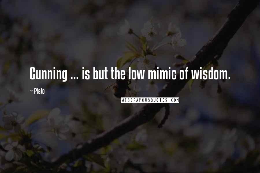 Plato Quotes: Cunning ... is but the low mimic of wisdom.