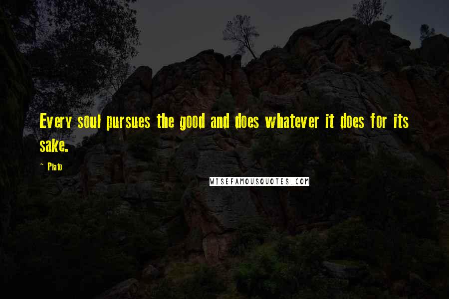 Plato Quotes: Every soul pursues the good and does whatever it does for its sake.