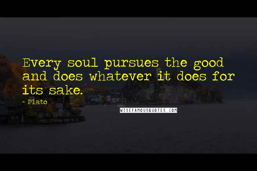 Plato Quotes: Every soul pursues the good and does whatever it does for its sake.