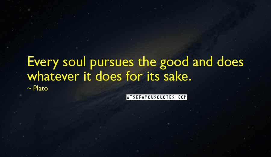 Plato Quotes: Every soul pursues the good and does whatever it does for its sake.