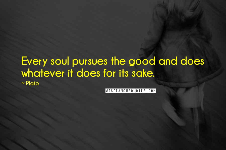 Plato Quotes: Every soul pursues the good and does whatever it does for its sake.