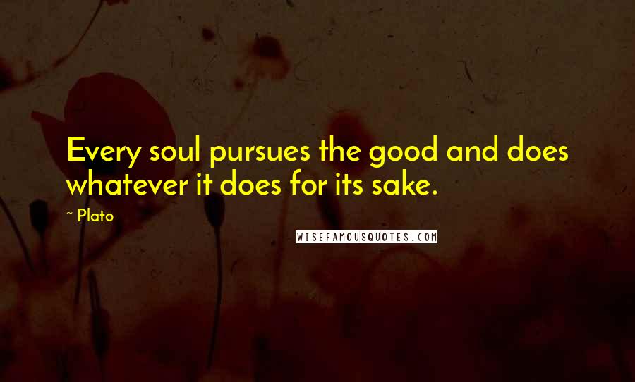 Plato Quotes: Every soul pursues the good and does whatever it does for its sake.