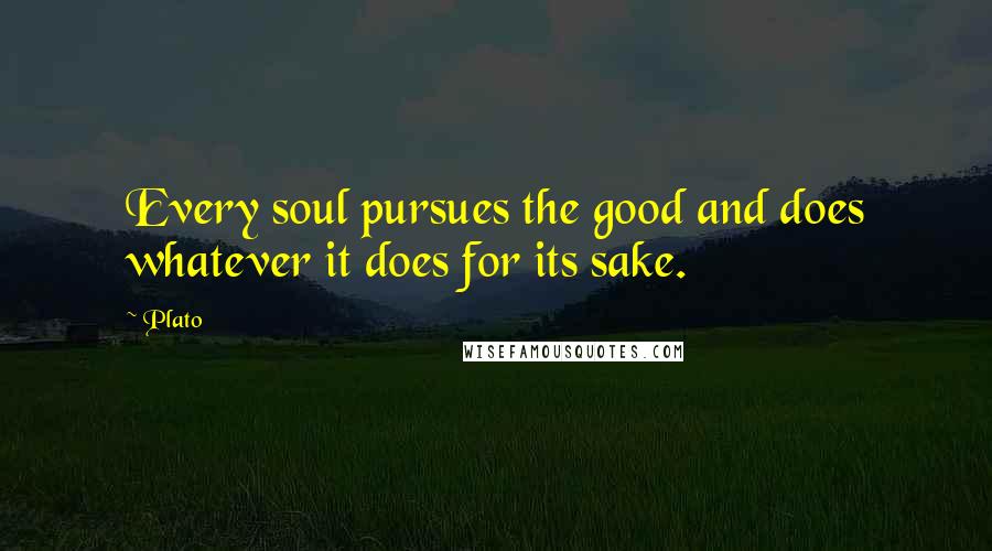 Plato Quotes: Every soul pursues the good and does whatever it does for its sake.