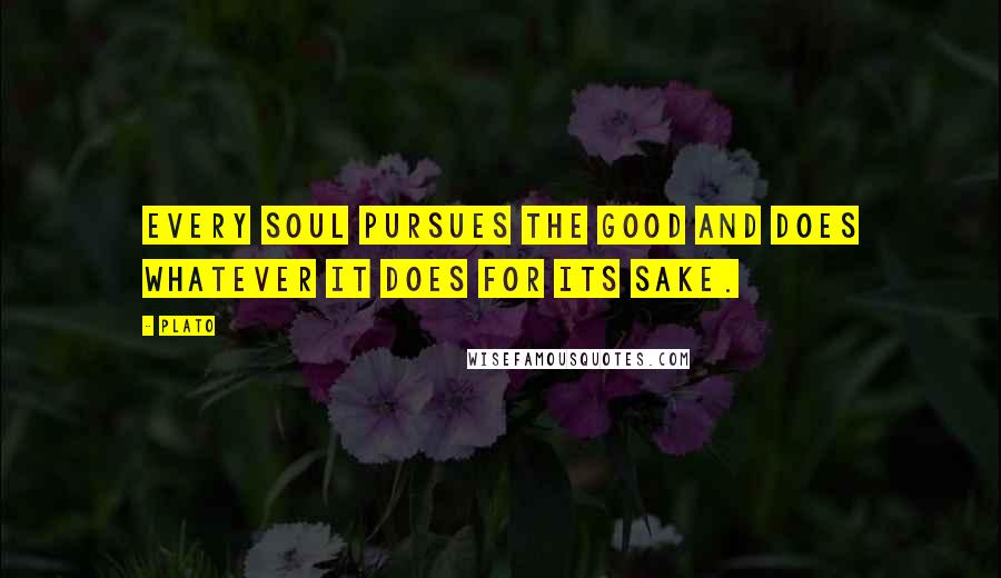 Plato Quotes: Every soul pursues the good and does whatever it does for its sake.