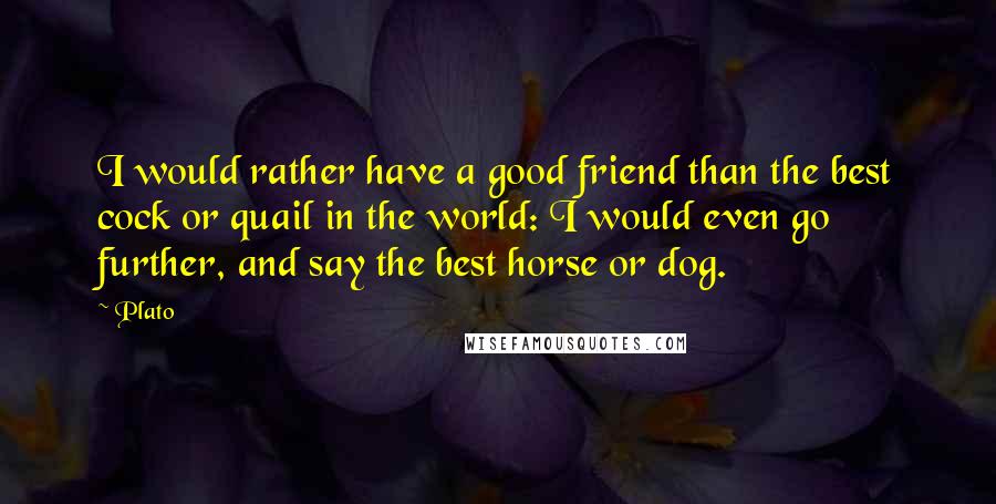 Plato Quotes: I would rather have a good friend than the best cock or quail in the world: I would even go further, and say the best horse or dog.