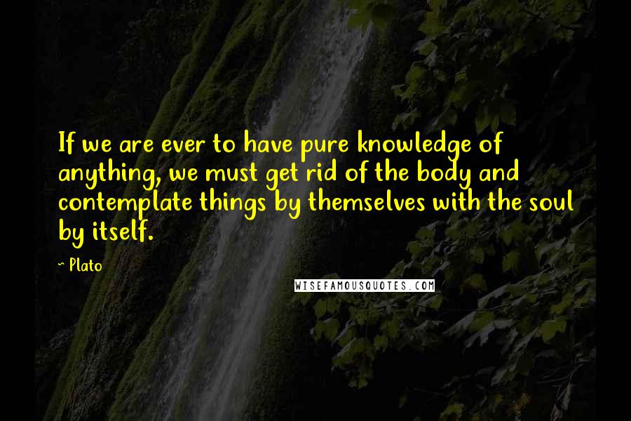 Plato Quotes: If we are ever to have pure knowledge of anything, we must get rid of the body and contemplate things by themselves with the soul by itself.