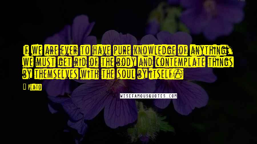 Plato Quotes: If we are ever to have pure knowledge of anything, we must get rid of the body and contemplate things by themselves with the soul by itself.