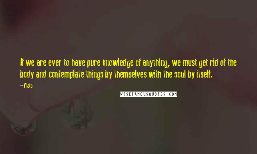 Plato Quotes: If we are ever to have pure knowledge of anything, we must get rid of the body and contemplate things by themselves with the soul by itself.