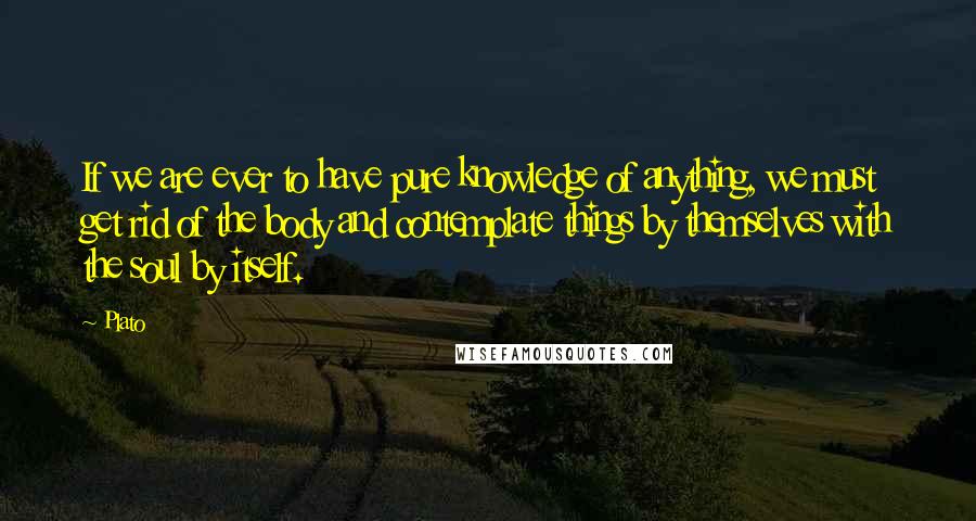 Plato Quotes: If we are ever to have pure knowledge of anything, we must get rid of the body and contemplate things by themselves with the soul by itself.