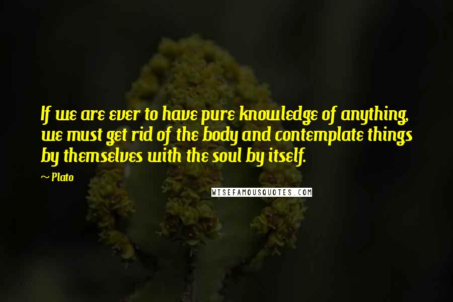 Plato Quotes: If we are ever to have pure knowledge of anything, we must get rid of the body and contemplate things by themselves with the soul by itself.