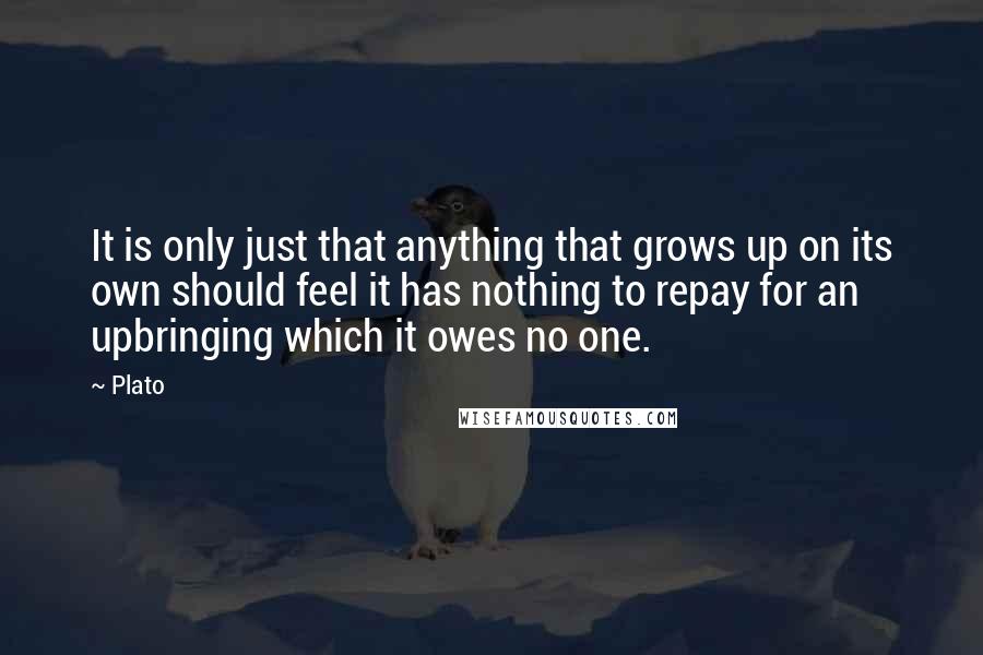 Plato Quotes: It is only just that anything that grows up on its own should feel it has nothing to repay for an upbringing which it owes no one.