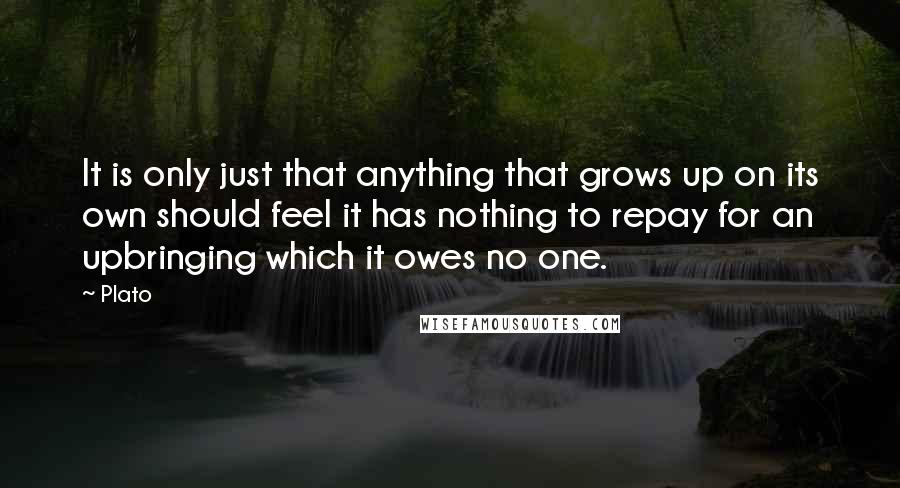 Plato Quotes: It is only just that anything that grows up on its own should feel it has nothing to repay for an upbringing which it owes no one.