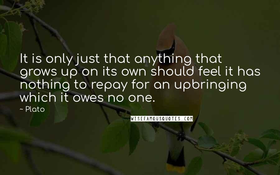 Plato Quotes: It is only just that anything that grows up on its own should feel it has nothing to repay for an upbringing which it owes no one.