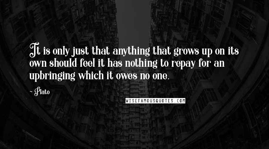 Plato Quotes: It is only just that anything that grows up on its own should feel it has nothing to repay for an upbringing which it owes no one.