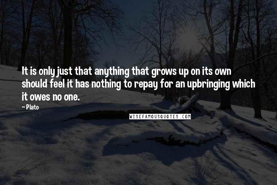 Plato Quotes: It is only just that anything that grows up on its own should feel it has nothing to repay for an upbringing which it owes no one.