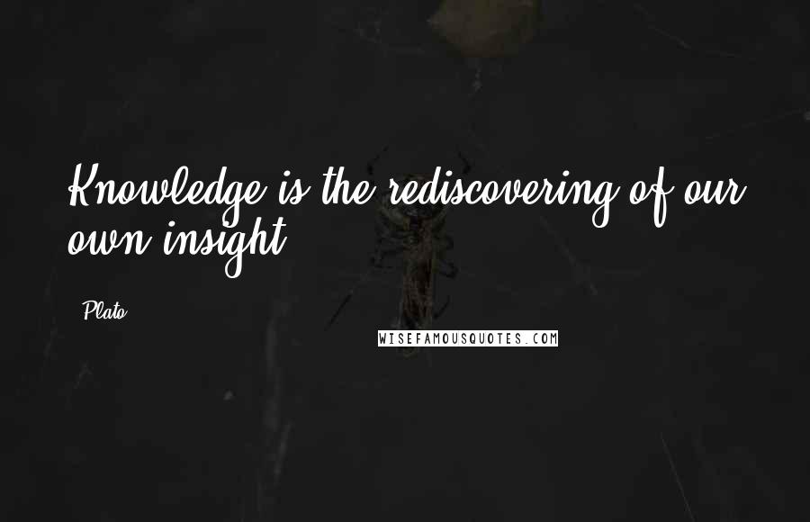 Plato Quotes: Knowledge is the rediscovering of our own insight.