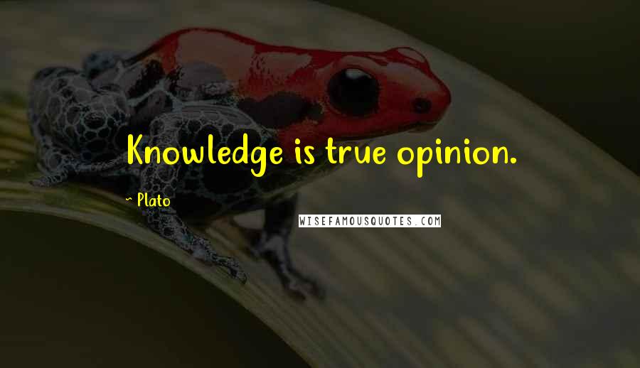 Plato Quotes: Knowledge is true opinion.