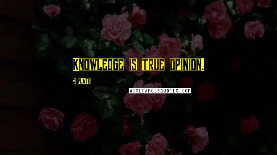 Plato Quotes: Knowledge is true opinion.