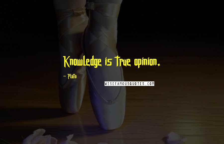 Plato Quotes: Knowledge is true opinion.