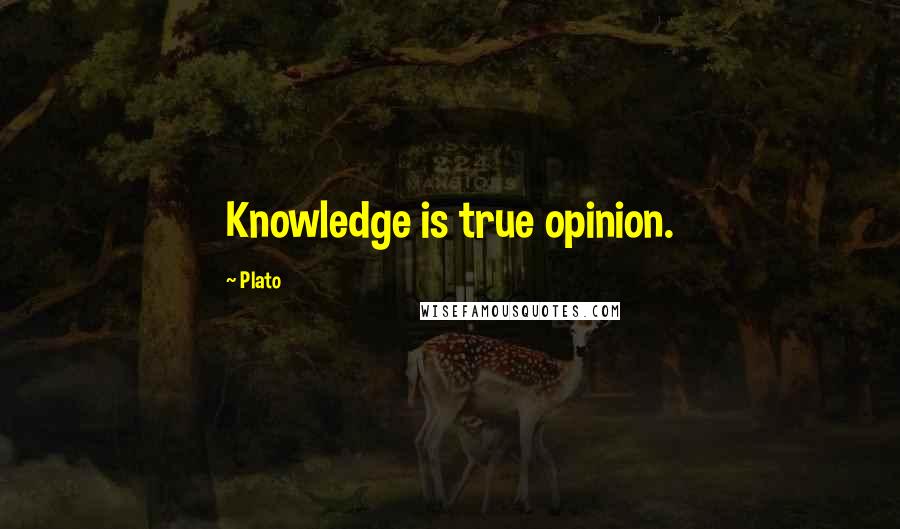 Plato Quotes: Knowledge is true opinion.