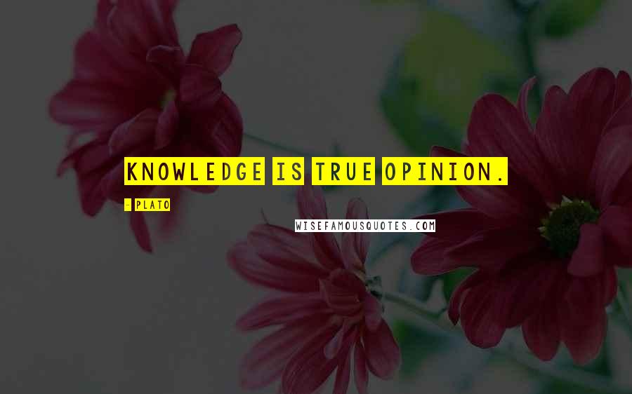 Plato Quotes: Knowledge is true opinion.