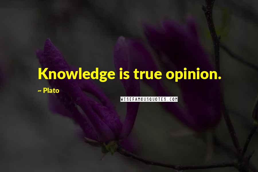 Plato Quotes: Knowledge is true opinion.