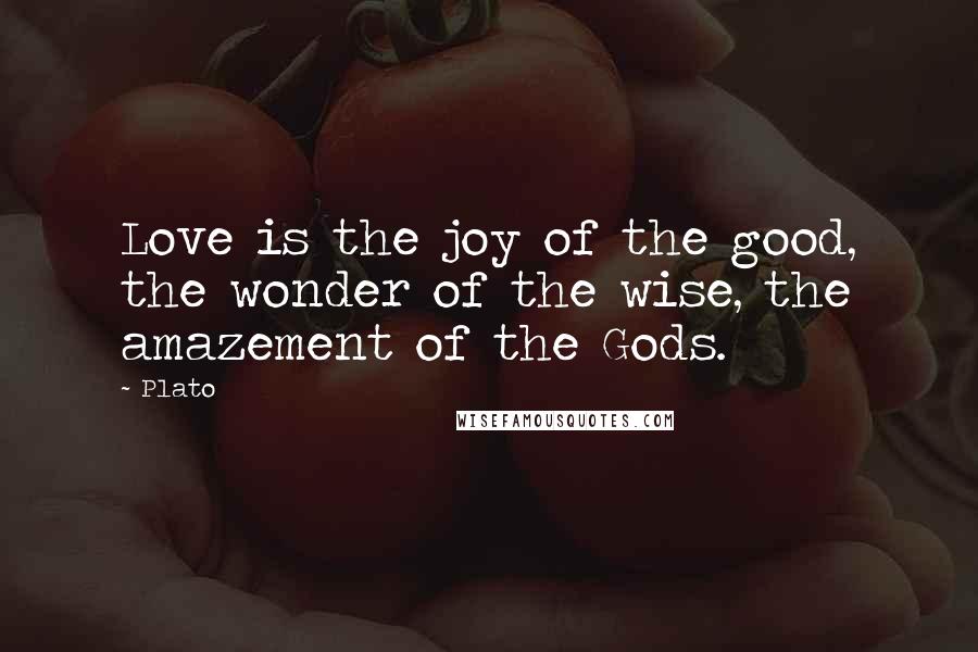 Plato Quotes: Love is the joy of the good, the wonder of the wise, the amazement of the Gods.