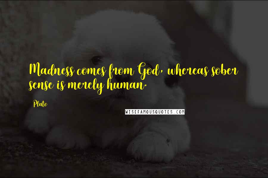 Plato Quotes: Madness comes from God, whereas sober sense is merely human.