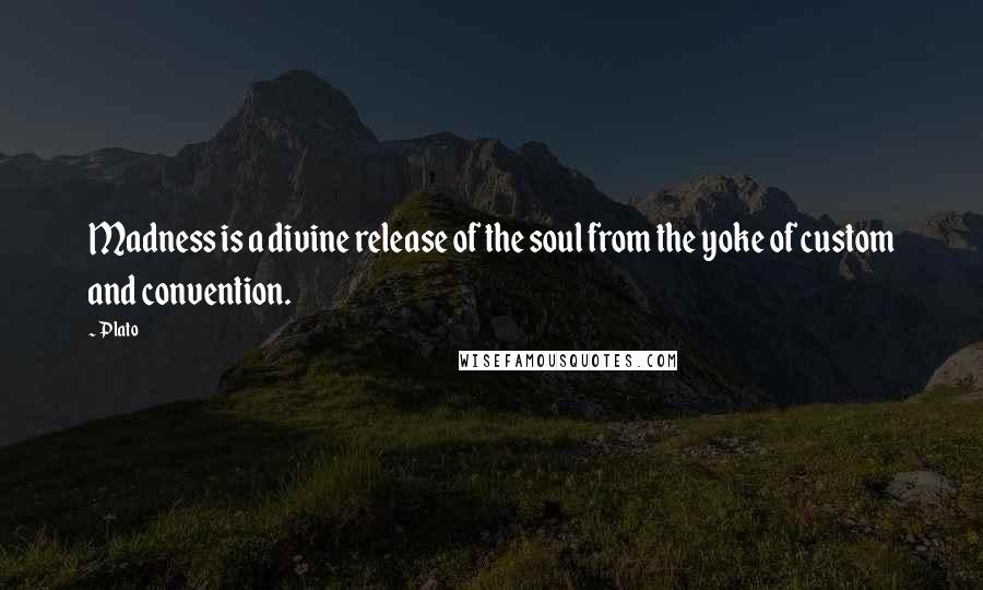 Plato Quotes: Madness is a divine release of the soul from the yoke of custom and convention.