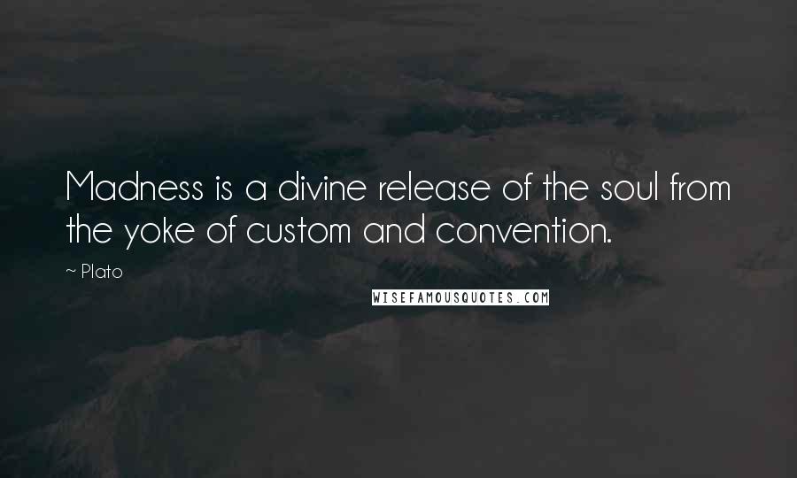 Plato Quotes: Madness is a divine release of the soul from the yoke of custom and convention.