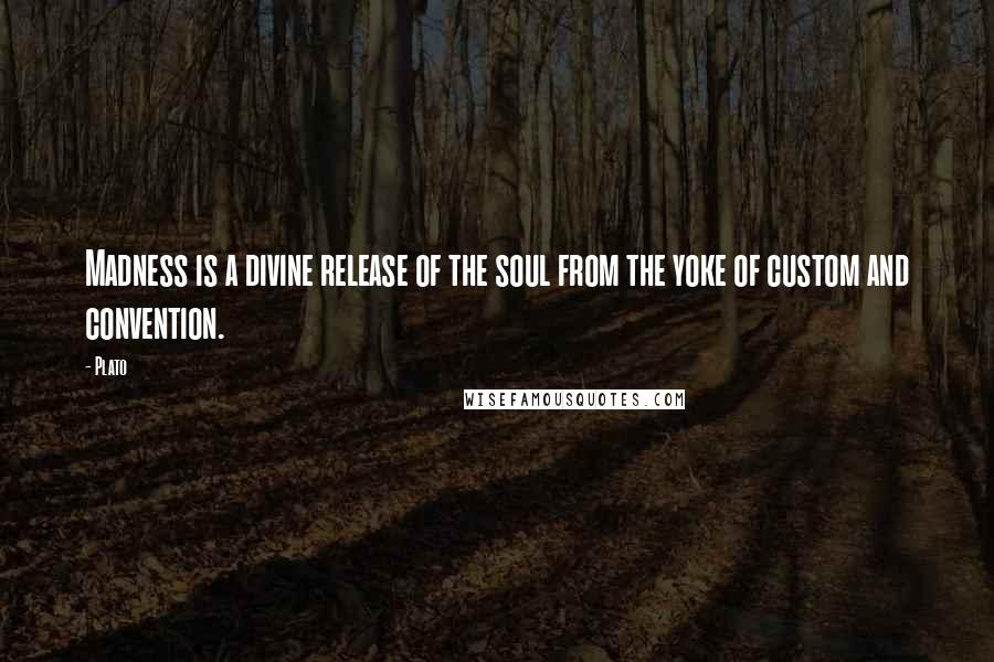 Plato Quotes: Madness is a divine release of the soul from the yoke of custom and convention.