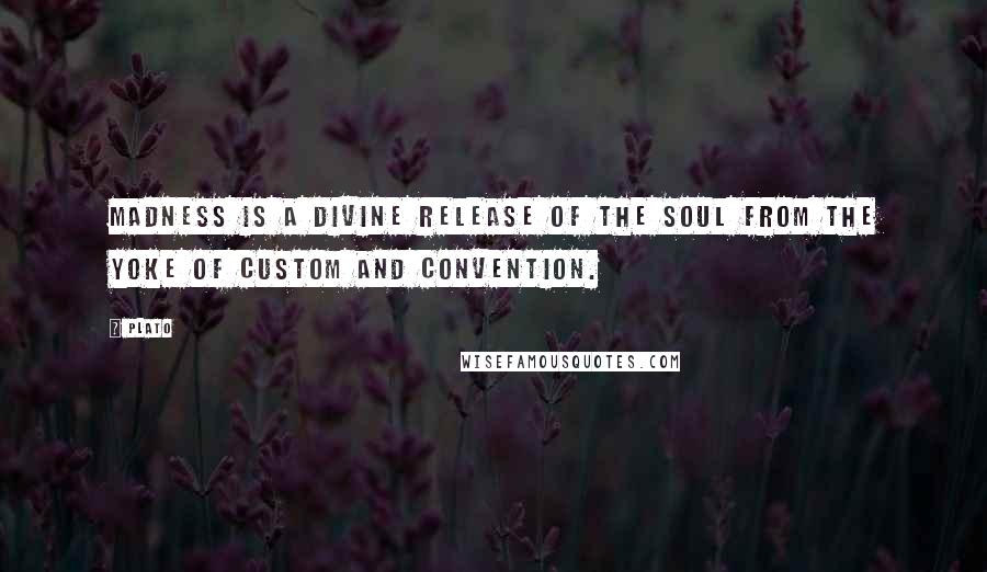 Plato Quotes: Madness is a divine release of the soul from the yoke of custom and convention.