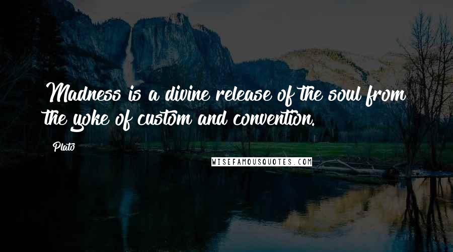 Plato Quotes: Madness is a divine release of the soul from the yoke of custom and convention.
