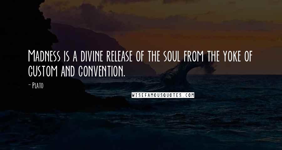 Plato Quotes: Madness is a divine release of the soul from the yoke of custom and convention.