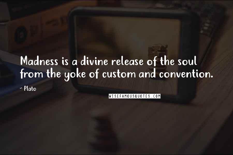 Plato Quotes: Madness is a divine release of the soul from the yoke of custom and convention.