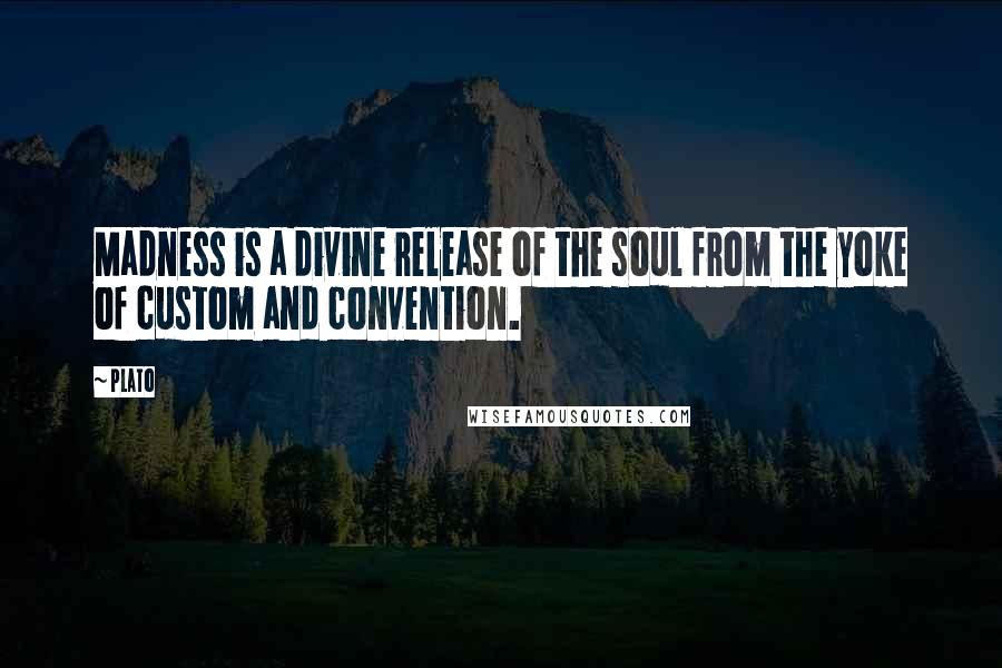 Plato Quotes: Madness is a divine release of the soul from the yoke of custom and convention.