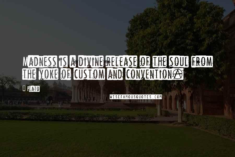 Plato Quotes: Madness is a divine release of the soul from the yoke of custom and convention.