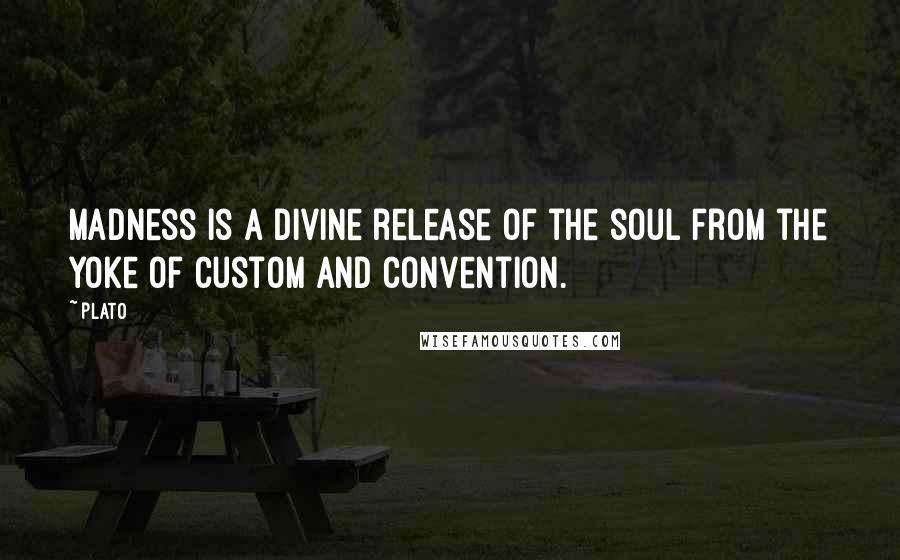 Plato Quotes: Madness is a divine release of the soul from the yoke of custom and convention.