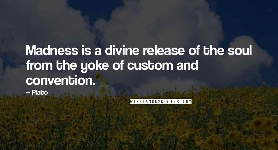 Plato Quotes: Madness is a divine release of the soul from the yoke of custom and convention.