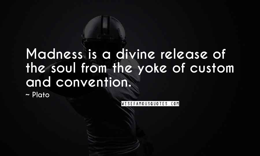 Plato Quotes: Madness is a divine release of the soul from the yoke of custom and convention.