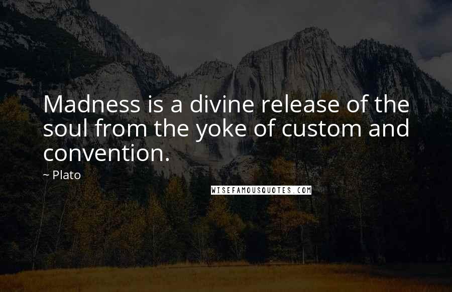 Plato Quotes: Madness is a divine release of the soul from the yoke of custom and convention.