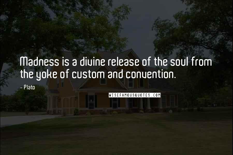 Plato Quotes: Madness is a divine release of the soul from the yoke of custom and convention.