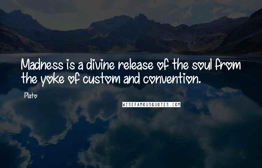 Plato Quotes: Madness is a divine release of the soul from the yoke of custom and convention.