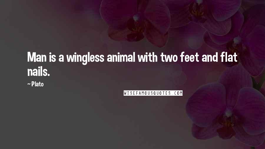 Plato Quotes: Man is a wingless animal with two feet and flat nails.