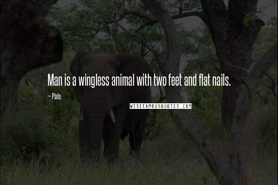 Plato Quotes: Man is a wingless animal with two feet and flat nails.