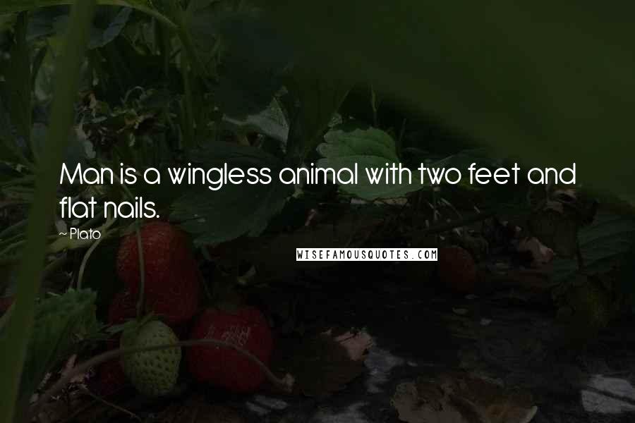 Plato Quotes: Man is a wingless animal with two feet and flat nails.