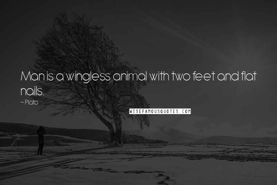 Plato Quotes: Man is a wingless animal with two feet and flat nails.